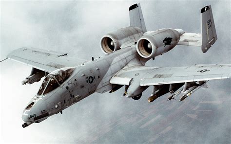 warthox|@warthox .